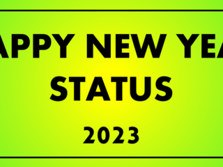 Happy New Year Status